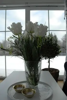 Design Ev