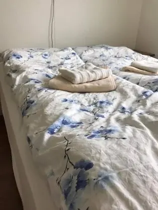 Standard Tek Büyük veya İki Ayrı Yataklı Oda, Ortak Banyo