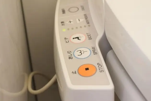 Traditional Oda, Sigara İçilmez (Japanese Style, New Building)