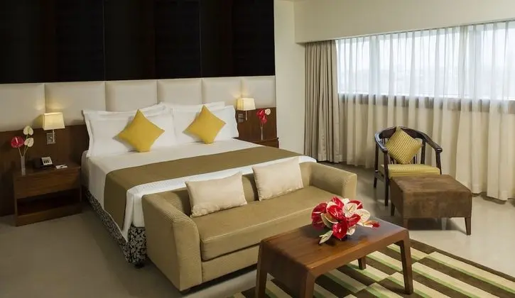 Premium Oda, Şehir Manzaralı (Including Free wifi)