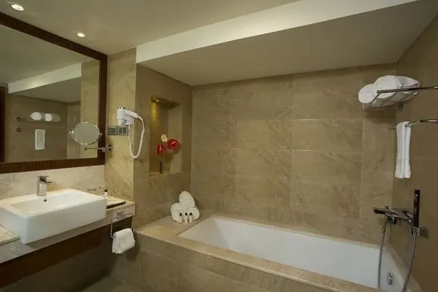 Premium Oda, Şehir Manzaralı (Including Free wifi)