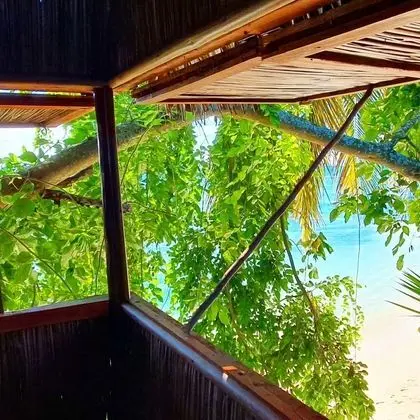 Panoramic Ağaç Ev