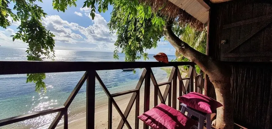 Panoramic Ağaç Ev