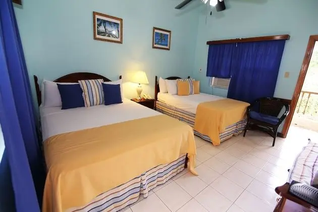 Superior Tek Büyük Yataklı Oda (2 Double Beds)
