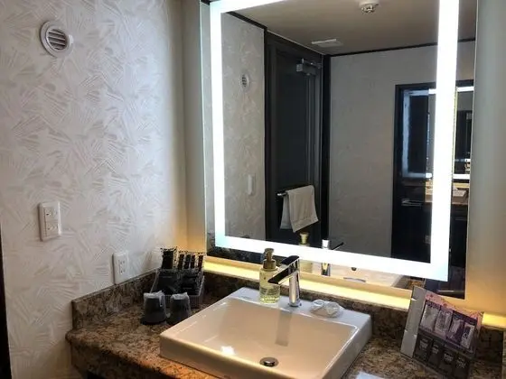 Oda, Sigara İçilebilir (Run of House with bathtub)