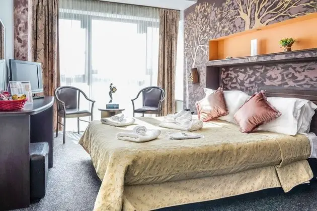 Standard Tek Büyük Yataklı Oda, Sigara İçilmez