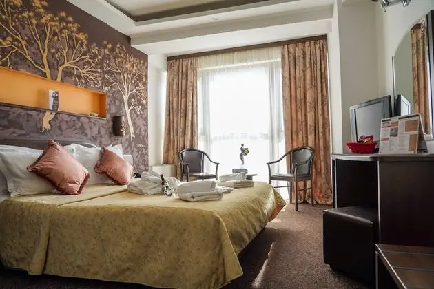 Standard Tek Büyük Yataklı Oda, Sigara İçilmez