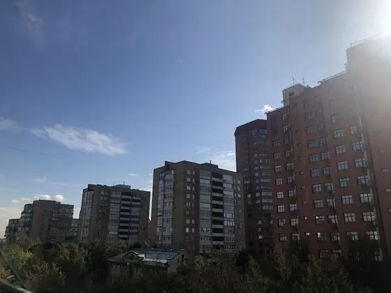 Süit