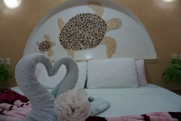 Junior Tek Büyük Yataklı Oda, 1 En Büyük (King) Boy Yatak