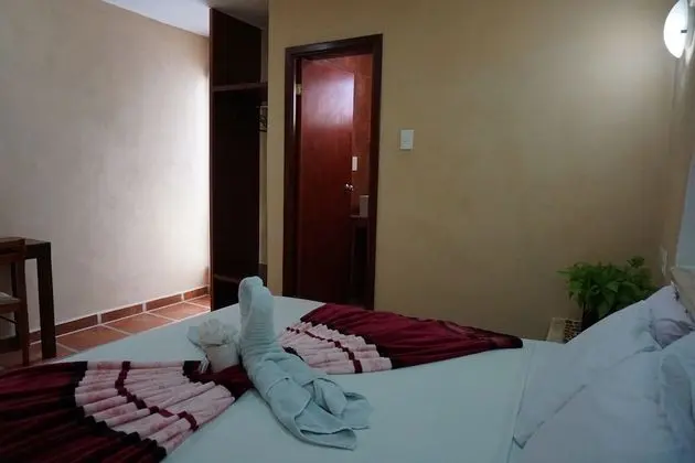 Junior Tek Büyük Yataklı Oda, 1 En Büyük (King) Boy Yatak