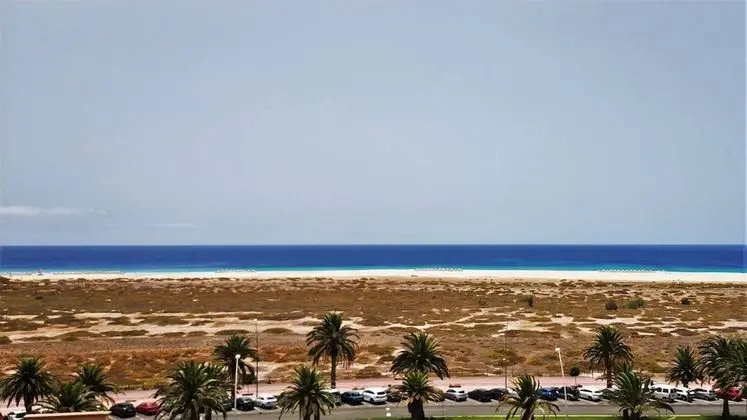 Standard Stüdyo, Deniz Manzaralı (FUE-STUDIO-369)