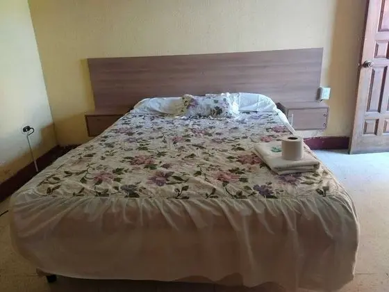 Standard Tek Kişilik Oda, 1 Büyük (Queen) Boy Yatak