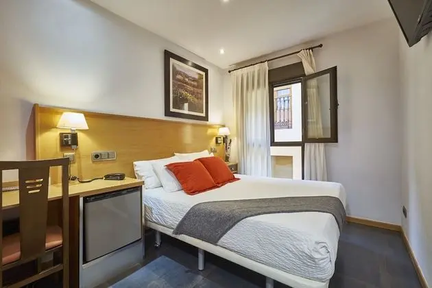 Tek Büyük Yataklı Oda, 1 Çift Kişilik Yatak