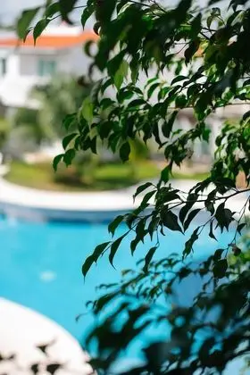 Basic Apart Daire, 2 Yatak Odası, Havuz Manzaralı