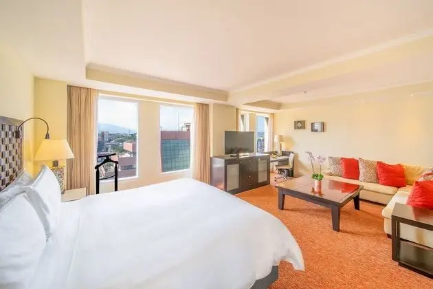 Junior Süit, 1 Tek Kişilik Yatak, Business Dinlenme Salonu Kullanımı (Lounge Access)