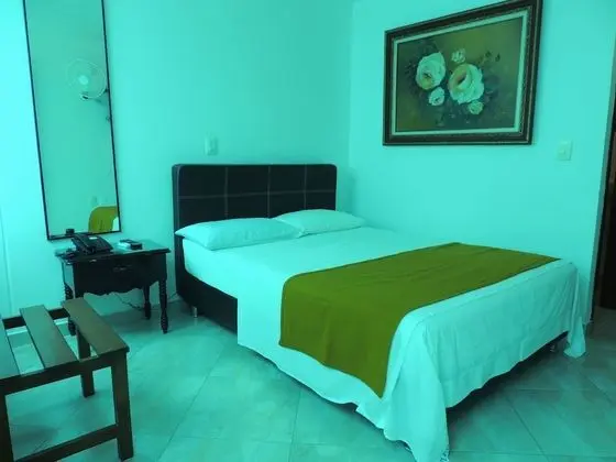 Standard Tek Büyük Yataklı Oda, 1 Çift Kişilik Yatak