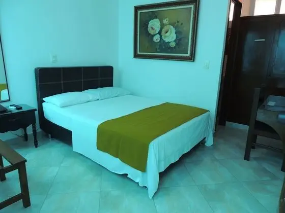 Standard Tek Büyük Yataklı Oda, 1 Çift Kişilik Yatak