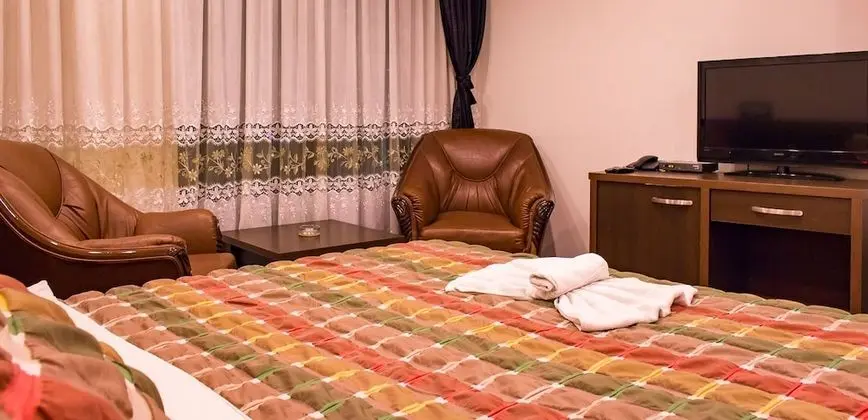 Tek Büyük Yataklı Oda, Özel Banyo, Şehir Manzaralı