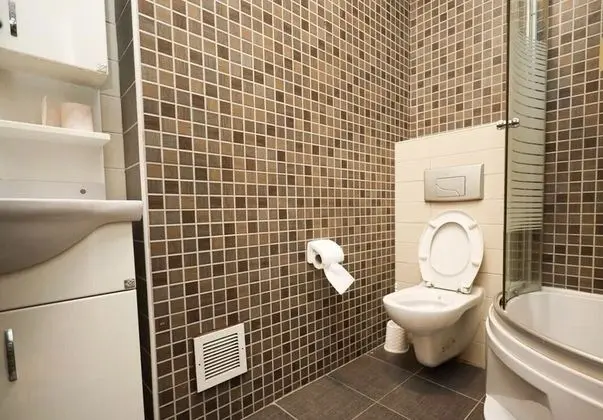 Tek Büyük Yataklı Oda, Özel Banyo, Şehir Manzaralı