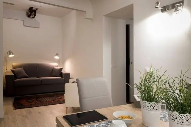 Çatı Katı (Loft), 1 Yatak Odası, Buzdolabı