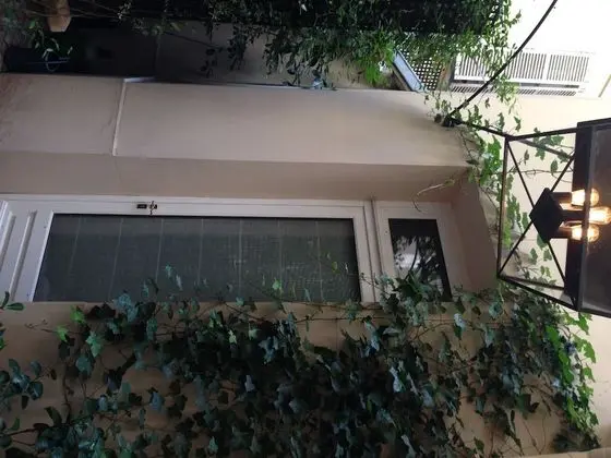 Club Tek Büyük veya İki Ayrı Yataklı Oda