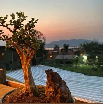 Premium Apart Daire, Dağ Manzaralı
