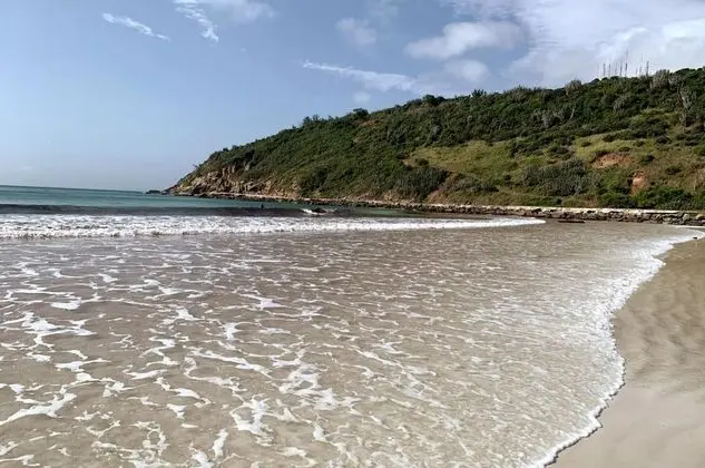 Ev, 2 Yatak Odası, Teras