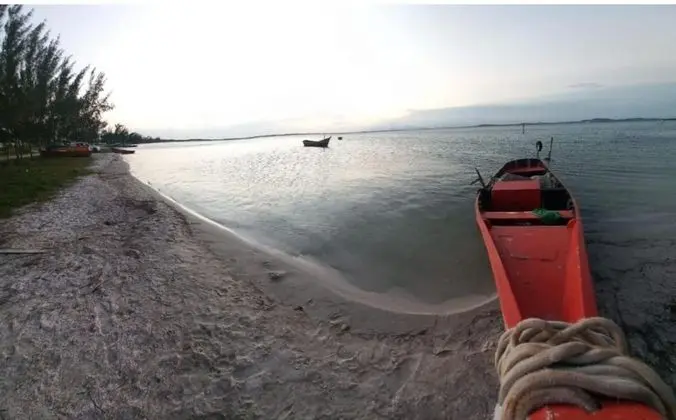 Ev, 2 Yatak Odası, Teras