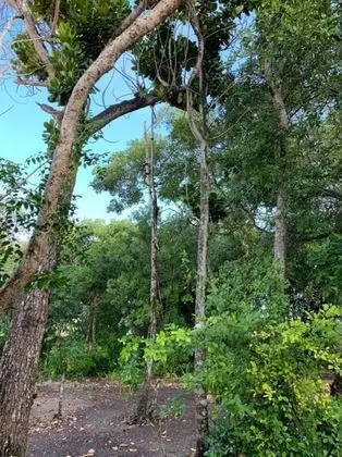 Ev, 2 Yatak Odası, Teras