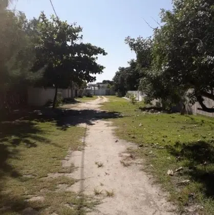 Ev, 2 Yatak Odası, Teras