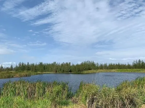 Ev, 2 Yatak Odası, Teras