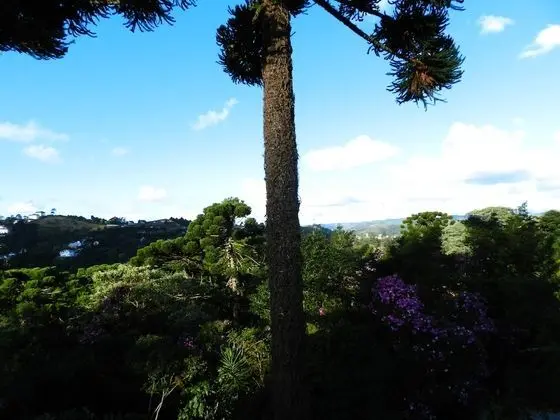 Panoramic Apart Daire (Apartamento Panorâmico)