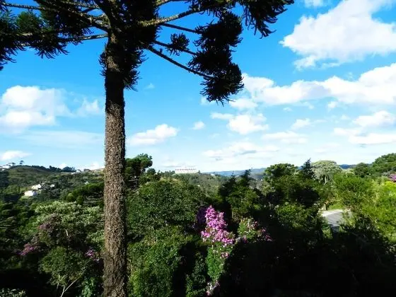 Panoramic Apart Daire (Apartamento Panorâmico)