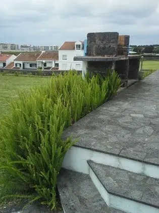 Ev, 3 Yatak Odası, Mikrodalga