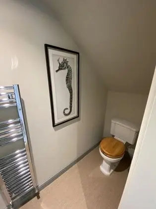 Deluxe Kulübe, Engellilere Uygun, Banyolu/Duşlu