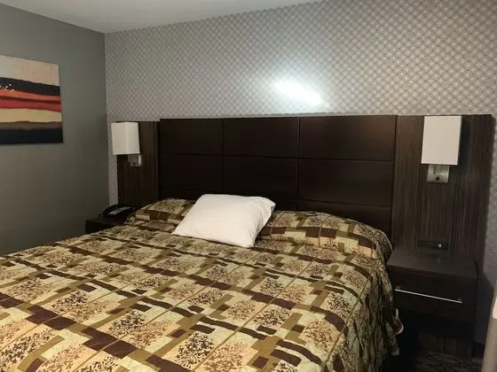 Standard Oda, 1 En Büyük (King) Boy Yatak, Sigara İçilmez