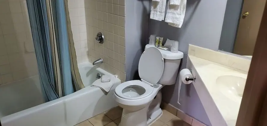 Standard Oda, 1 En Büyük (King) Boy Yatak, Muhtelif Manzaralı (King Bed Non Smoking)