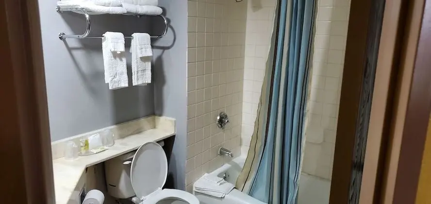 Standard Oda, 2 Büyük (Queen) Boy Yatak, Muhtelif Manzaralı (2 Queen Beds Non Smoking)