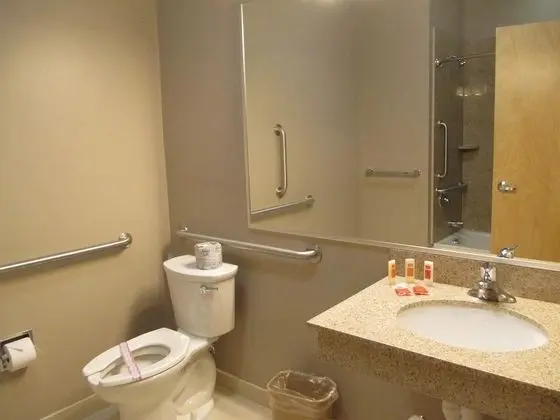 Süit