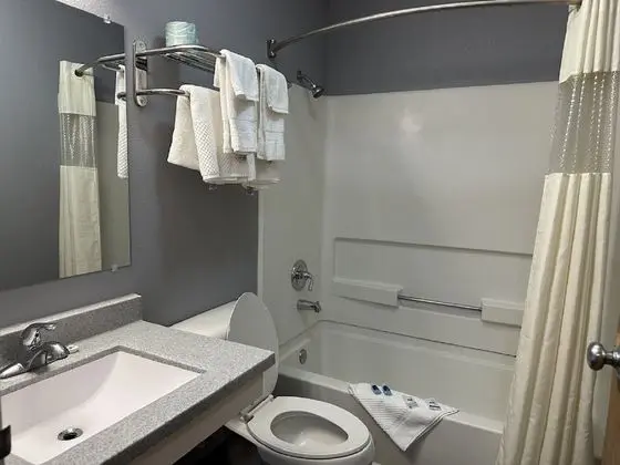 Standard Oda, 1 En Büyük (King) Boy Yatak, Engellilere Uygun, Sigara İçilmez
