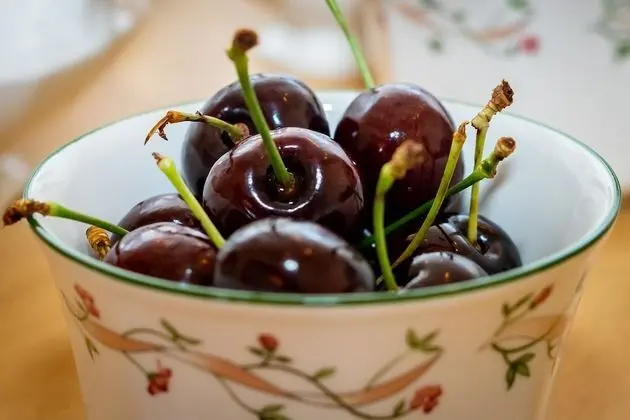 Family Ev, Özel Banyo, Bahçe Manzaralı (Red Cherry House)