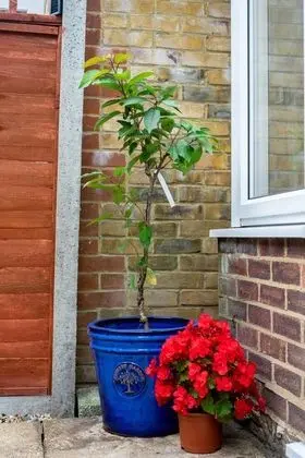 Family Ev, Özel Banyo, Bahçe Manzaralı (Red Cherry House)