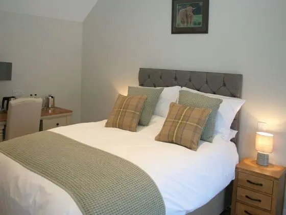 Tek Büyük Yataklı Oda, Banyolu/Duşlu (Kent)