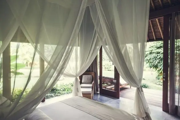 Luxury Süit, Teras, Havuz Manzaralı