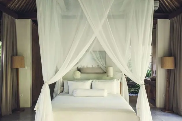 Luxury Süit, Teras, Havuz Manzaralı