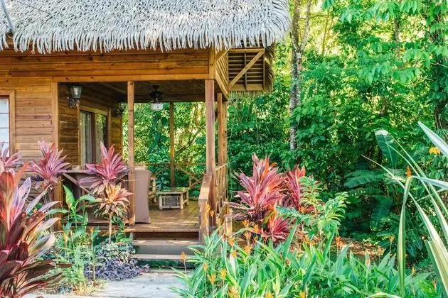 Jungle Lodge, 2 Bedrooms