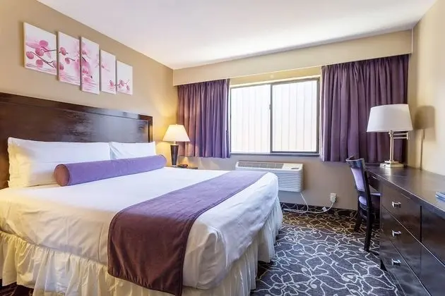 Oda, 1 En Büyük (King) Boy Yatak, Engellilere Uygun, Sigara İçilmez (East Side)