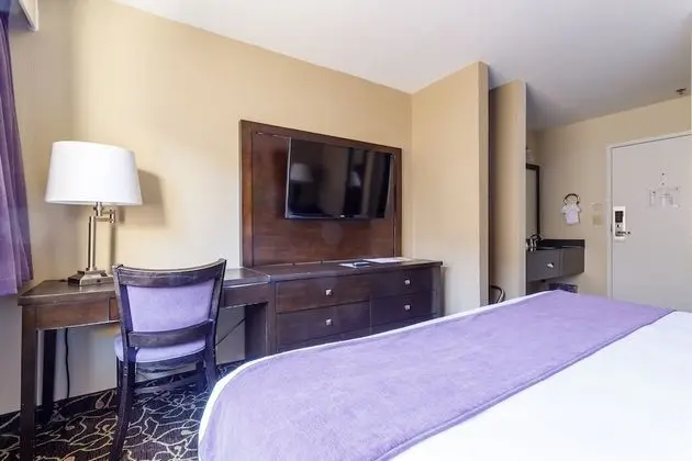 Oda, 1 En Büyük (King) Boy Yatak, Engellilere Uygun, Sigara İçilmez (East Side)