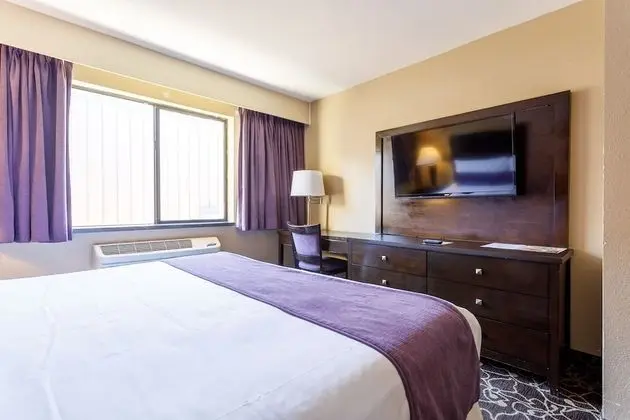 Oda, 1 En Büyük (King) Boy Yatak, Engellilere Uygun, Sigara İçilmez (East Side)