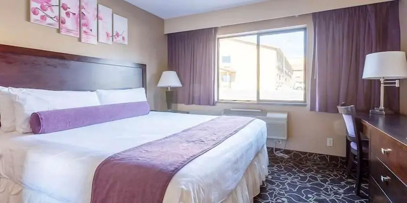 Süit, 1 En Büyük (King) Boy Yatak, Sigara İçilebilir (East Side Bar)